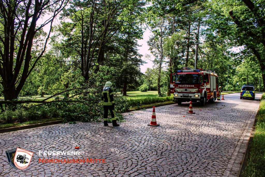 Einsatz 39/2021 - Ast auf Straße