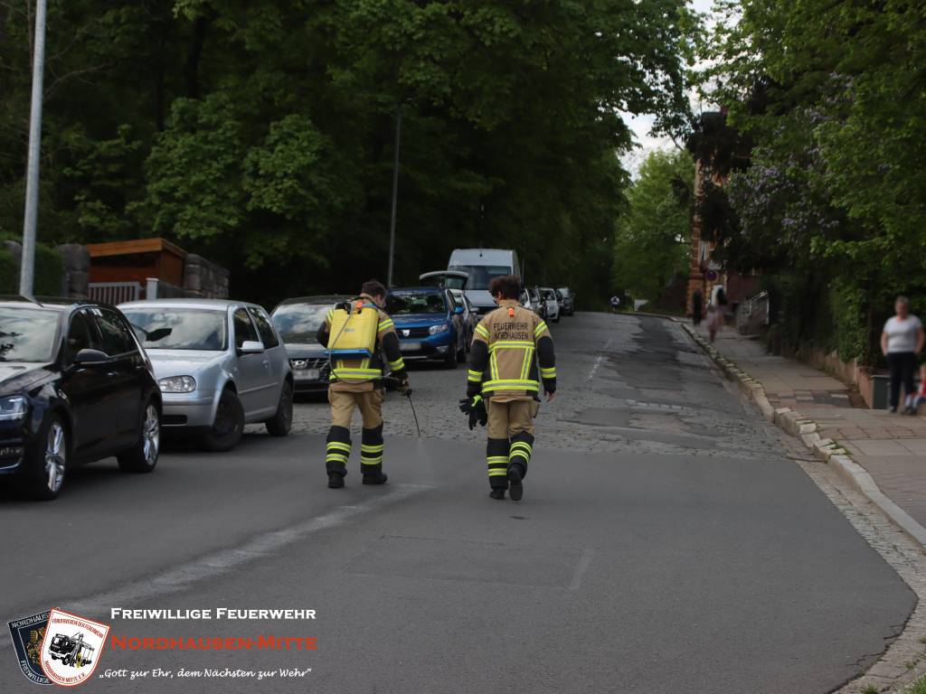 Einsatz 08/2024 & 09/2024 - Ölspur im Stadtgebiet